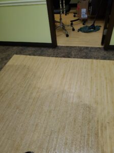 St. Petersburg Florida Carpet Cleaning