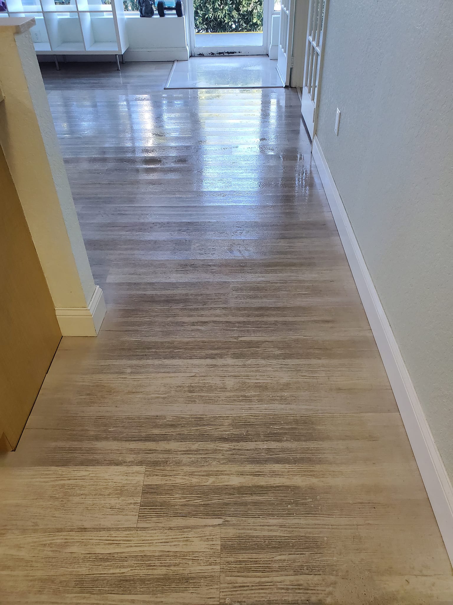 Pinellas County Florida Floor Cleaning