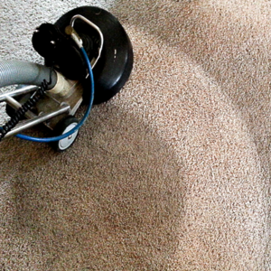 Carpet Cleaning Near Me Clearwater Florida