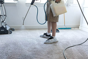 Clearwater Florida Carpet Cleaning Services